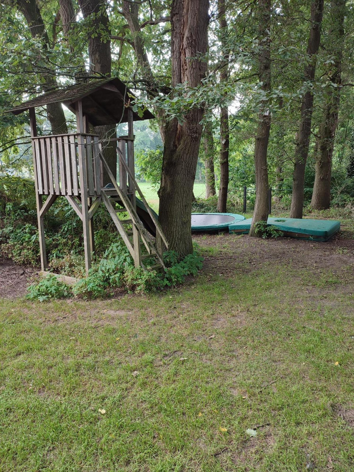 Wikkerink Holiday home *